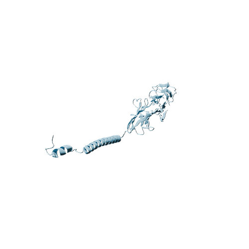 Human ICAM-2 (C-6His, HEK293)